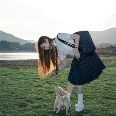 叔比狗巨灵犬大闹科展